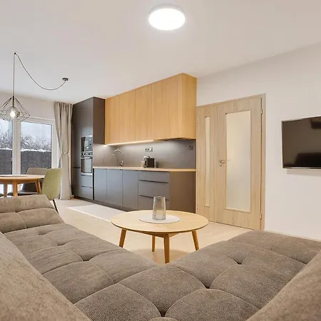 Krusnohorske Strane Apartment Loucna pod Klinovcem Exterior photo