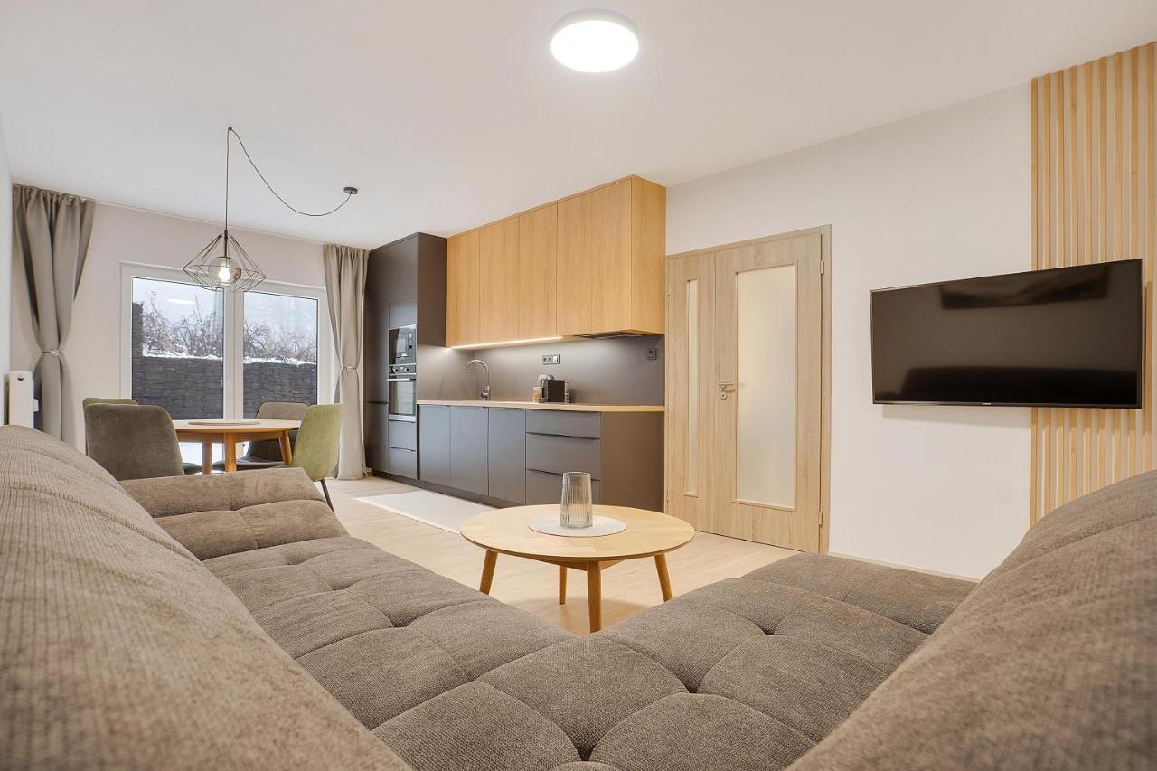 Apartment Krusnohorske Strane Loucna pod Klinovcem